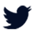 Twitter (en inglés)
